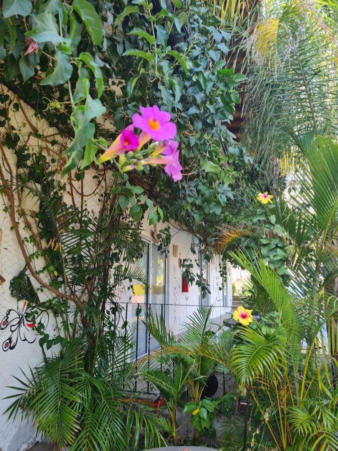 Hotel Villas Mariposas Atlixco Exteriör bild
