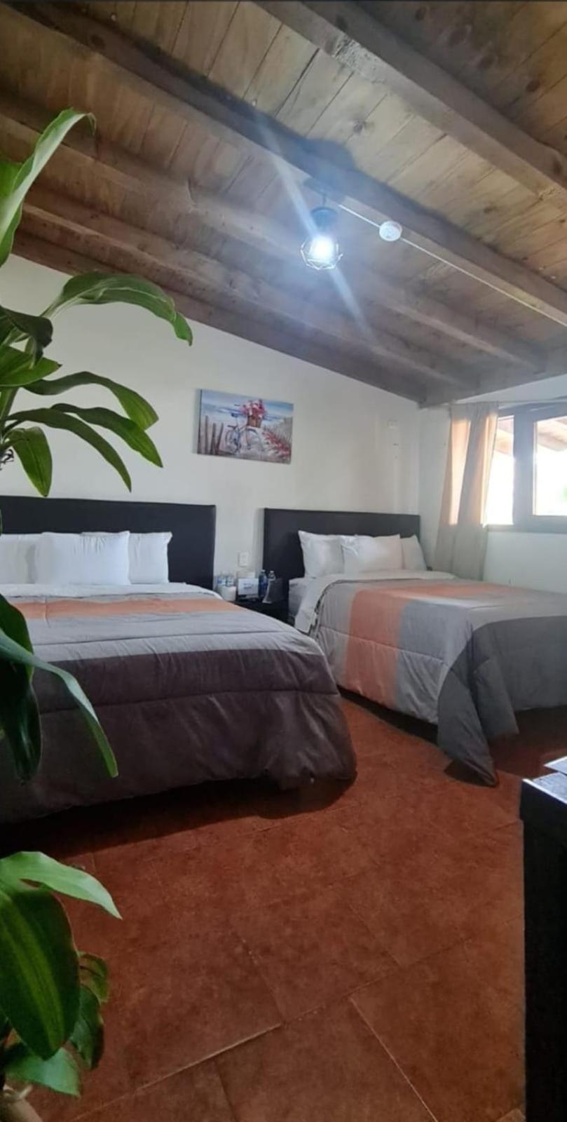 Hotel Villas Mariposas Atlixco Exteriör bild